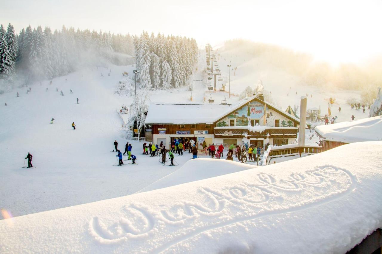 The Suite Winterberg Deluxe - Exklusive Ausstattung, Bestlage Zwischen Skikarussell Und Marktplatz, Eigener Garten, Ski- Und Fahrradraum, Ruhige Suedausrichtung, Wlan, Hundefreundlich ภายนอก รูปภาพ