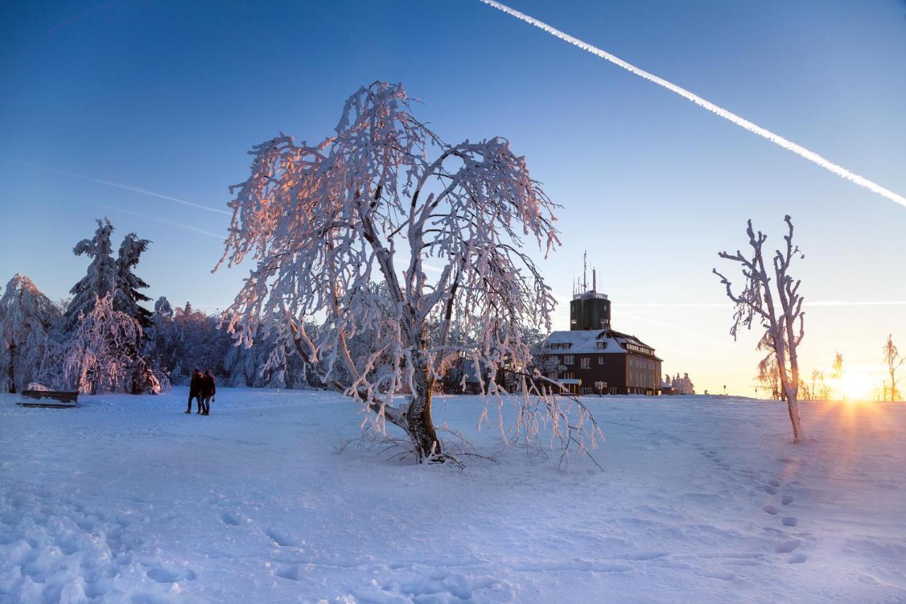 The Suite Winterberg Deluxe - Exklusive Ausstattung, Bestlage Zwischen Skikarussell Und Marktplatz, Eigener Garten, Ski- Und Fahrradraum, Ruhige Suedausrichtung, Wlan, Hundefreundlich ภายนอก รูปภาพ