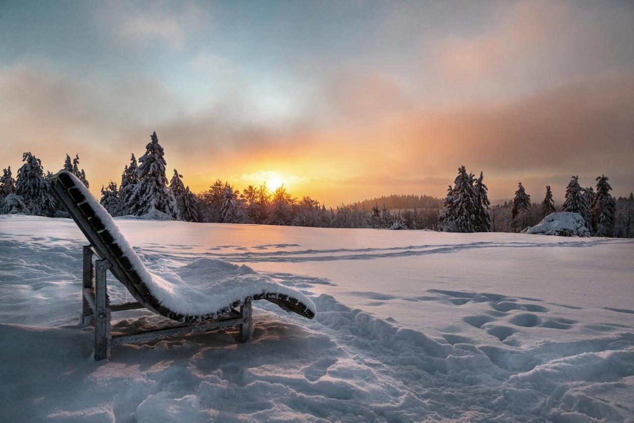 The Suite Winterberg Deluxe - Exklusive Ausstattung, Bestlage Zwischen Skikarussell Und Marktplatz, Eigener Garten, Ski- Und Fahrradraum, Ruhige Suedausrichtung, Wlan, Hundefreundlich ภายนอก รูปภาพ